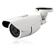 IP-видеокамера модель AVTECH AVN305 (3.8)